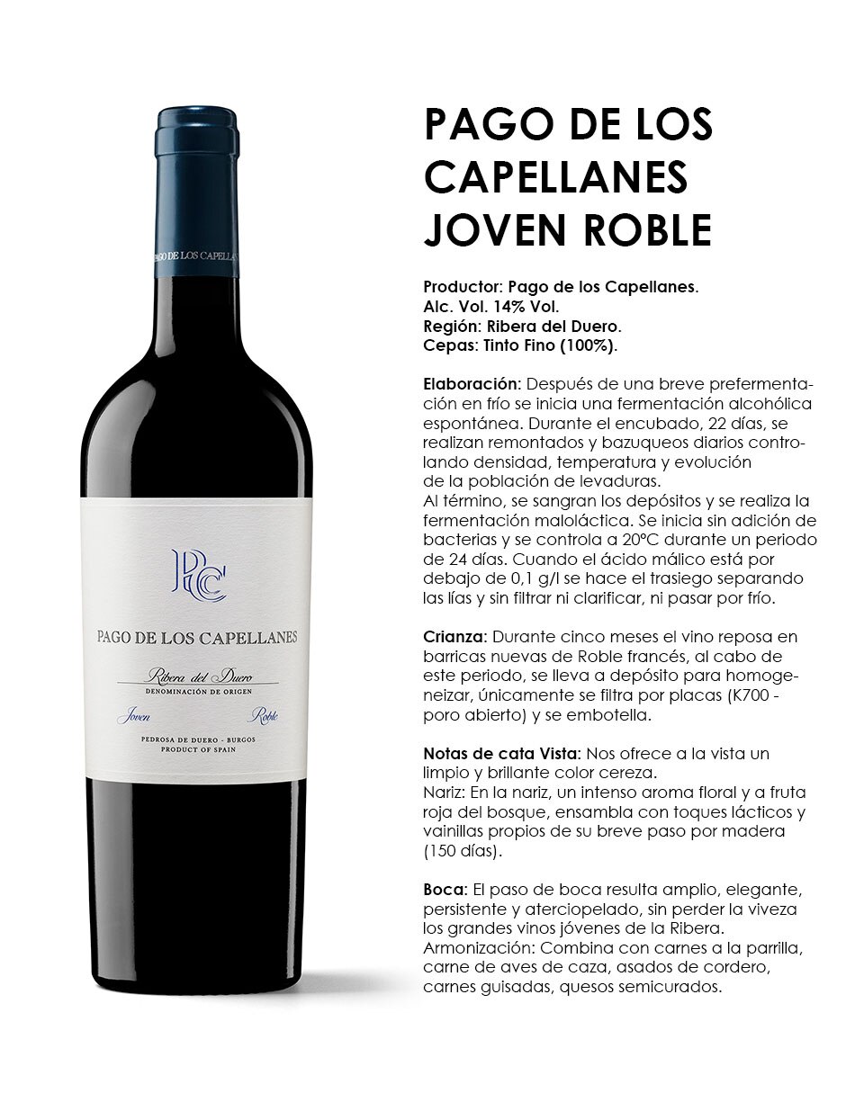 Vino tinto tempranillo 750 ml 3