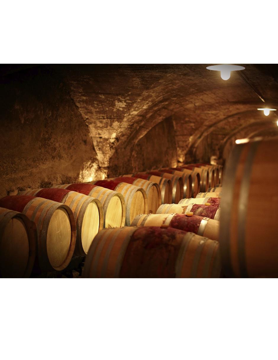 Vino blanco Macon-Villages Chardonnay 750 ml