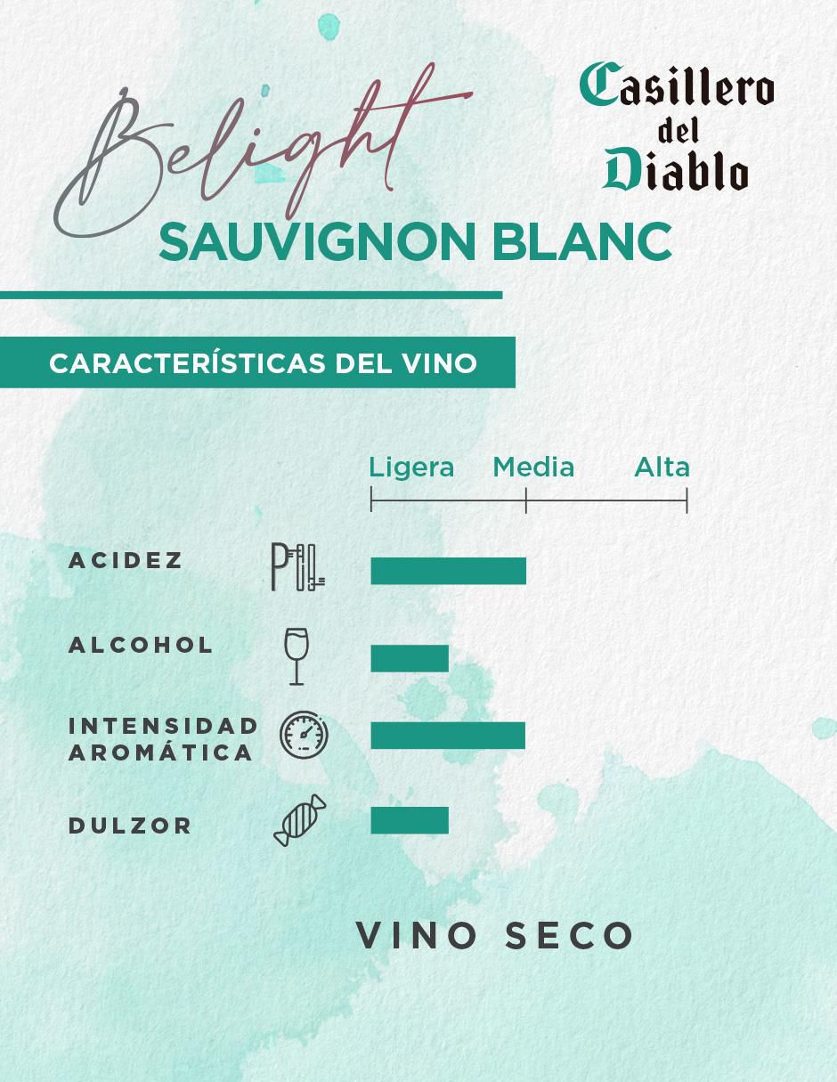 Vino blanco reserva Sauvignon Blanc 750 ml