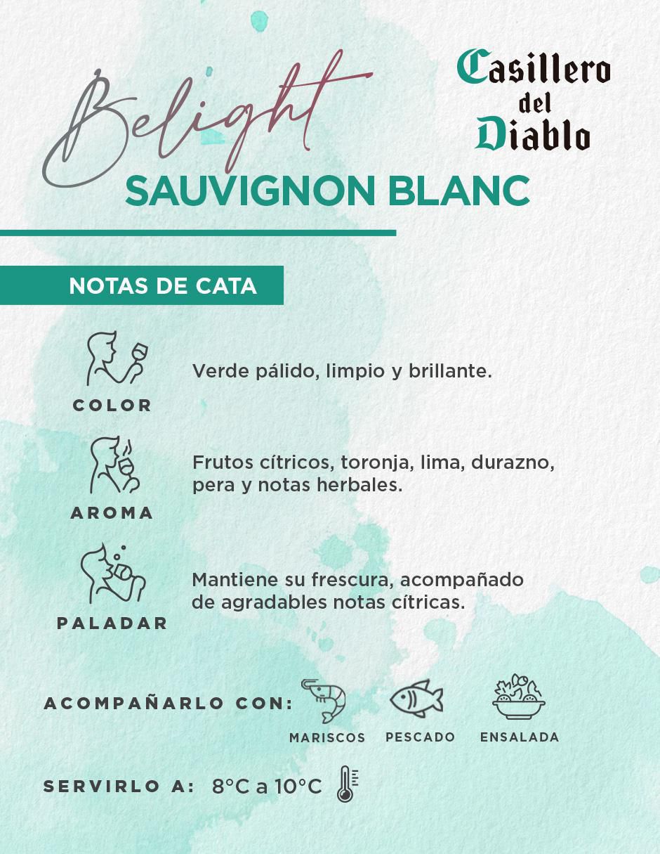Vino blanco reserva Sauvignon Blanc 750 ml