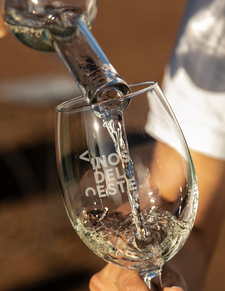 Set vino blanco Juego de Pelota 02 chardonnay 7