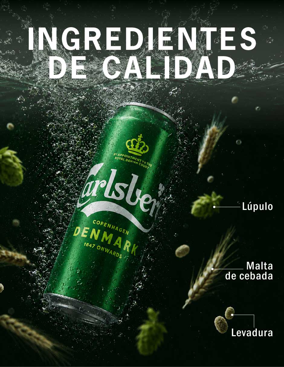 Set de cerveza Importada frutal 6 pack 330 ml 4