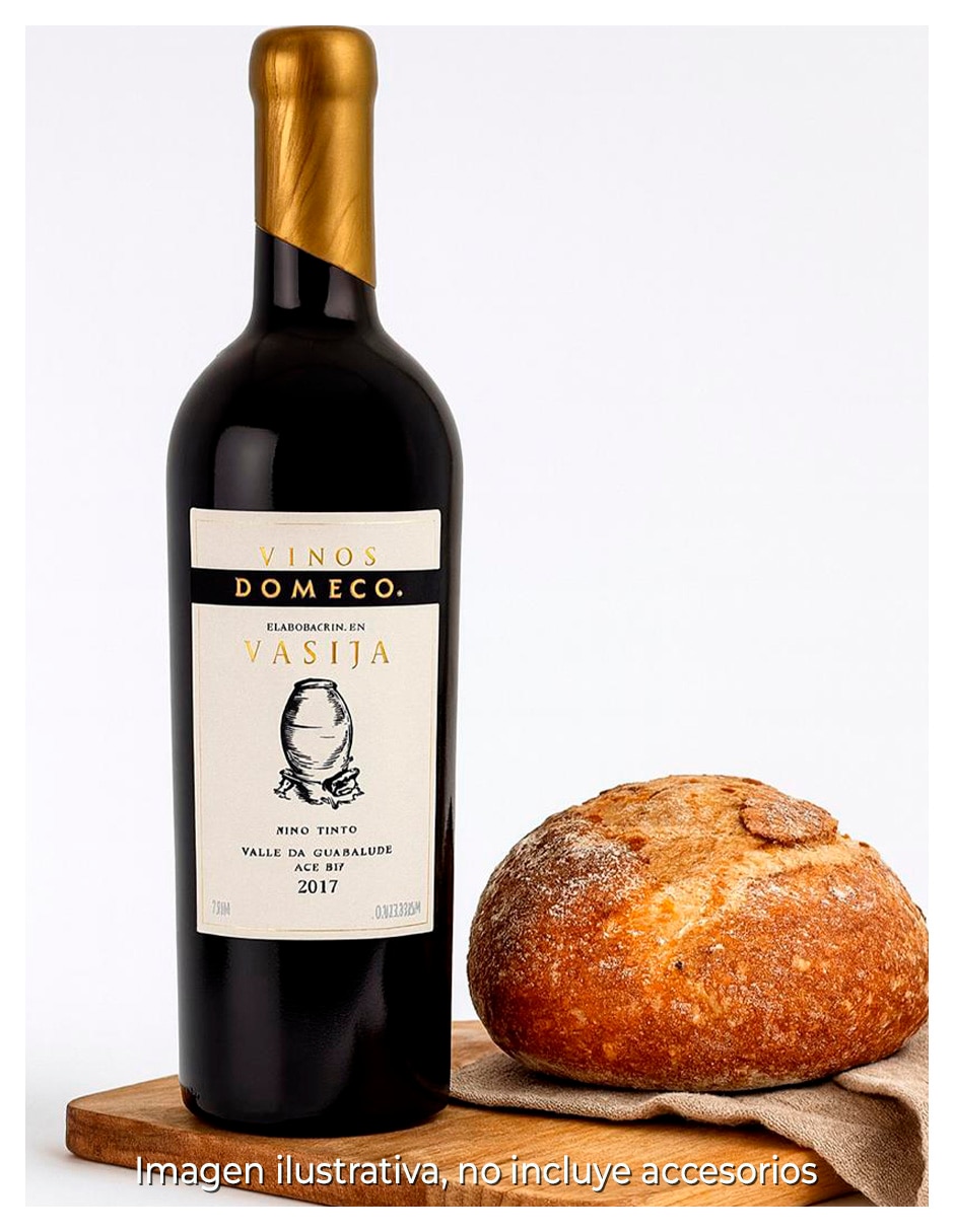 Vino tinto cabernet sauvignon 750 ml