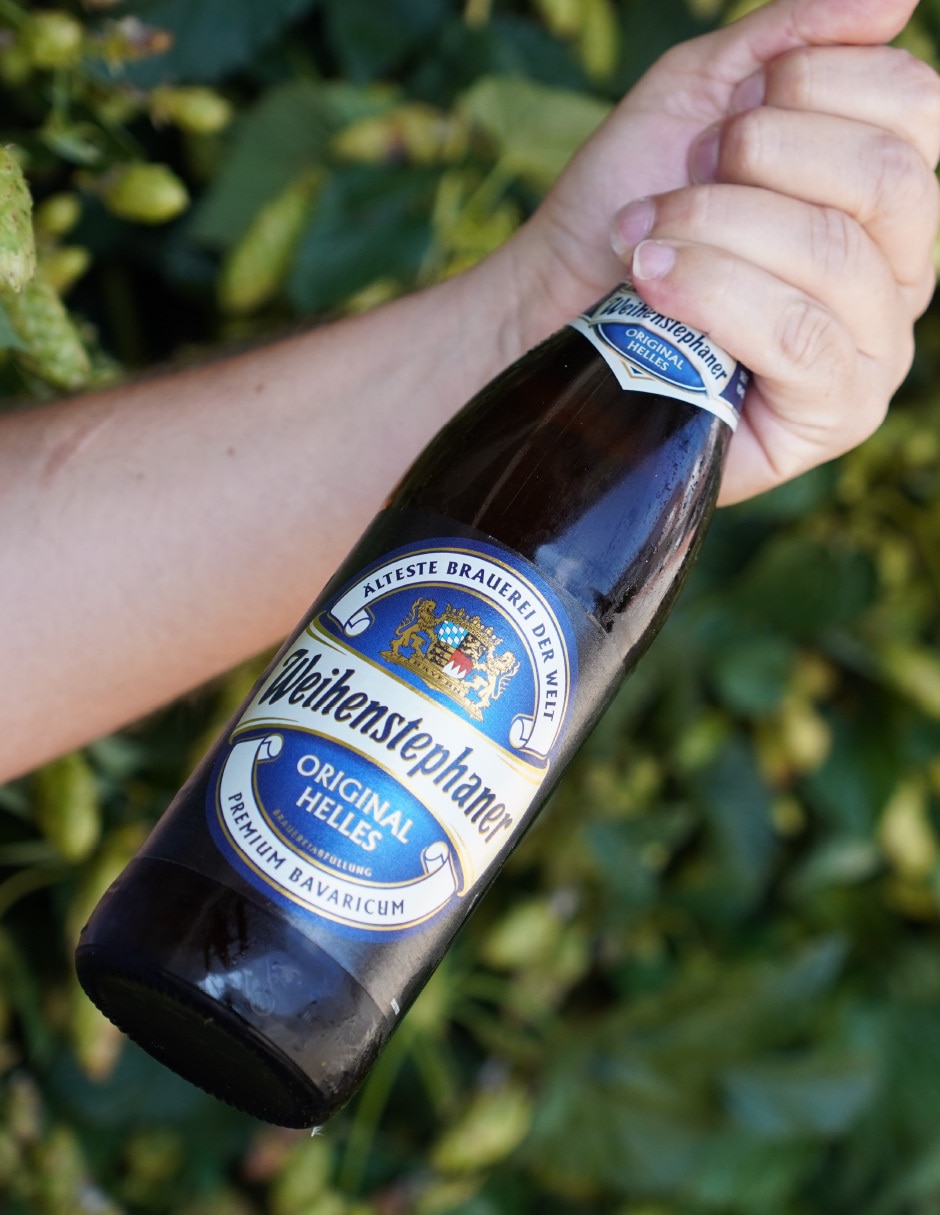 Cerveza clara lager lúpulo 500 ml Cerveza clara lager lúpulo 500 ml