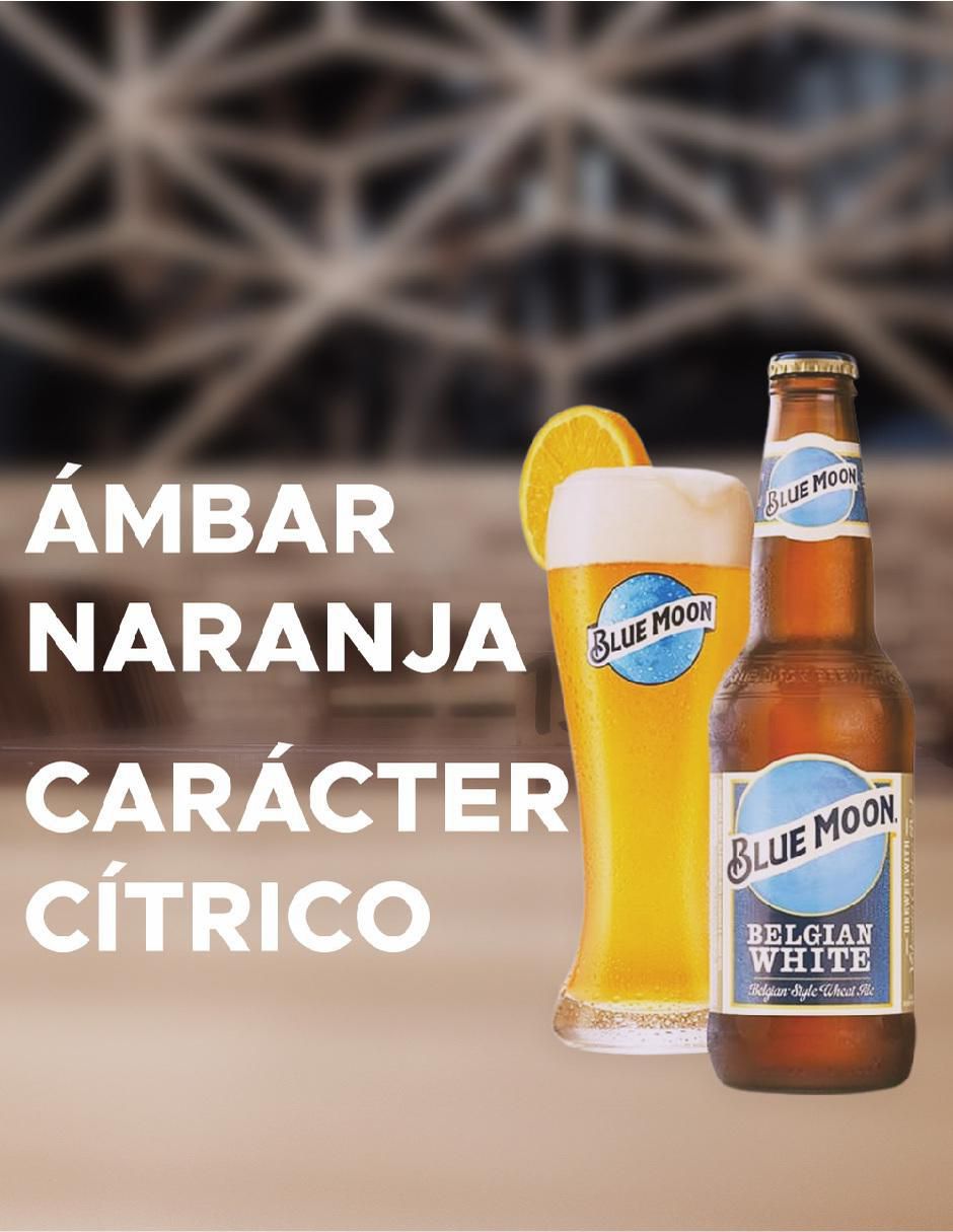 Set de cerveza clara cerveza 355 ml