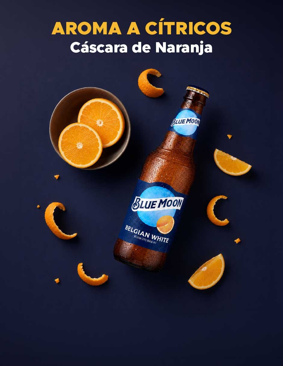 Set de cerveza lager herbal y cítrico 12 pack 355 ml 8