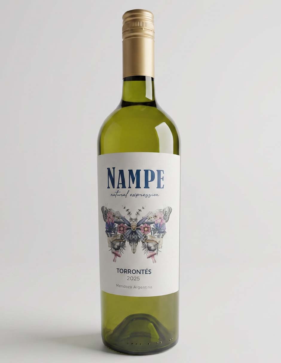 Vino blanco torrontés Argentina 750 ml 1