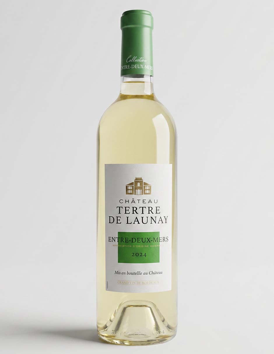 Vino blanco sauvignon blanc francia 750 ml