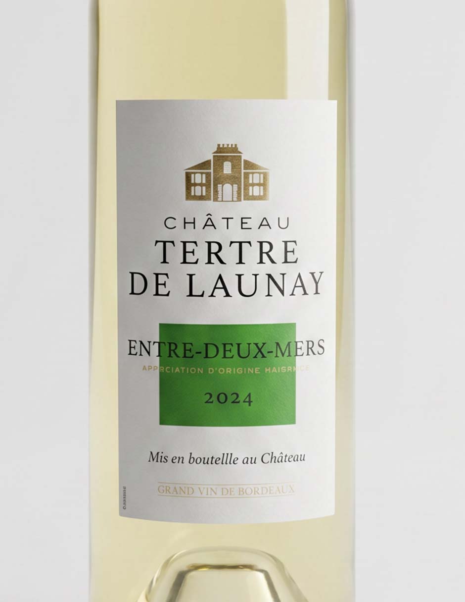 Vino blanco sauvignon blanc francia 750 ml 2