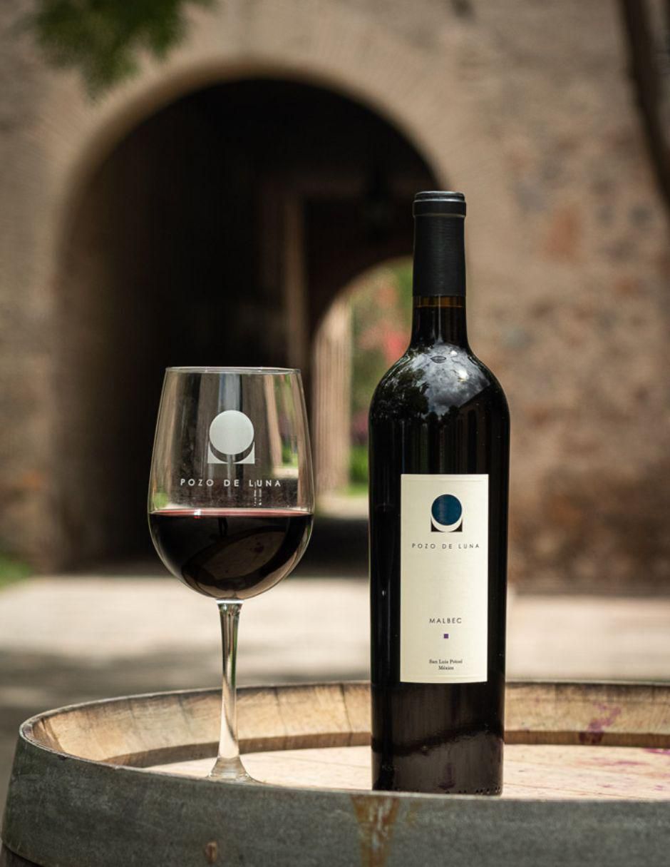 Vino tinto malbec Pozo de Luna Single Vineyard México 750 ml