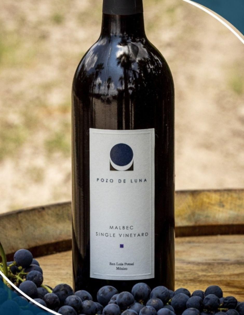 Vino tinto malbec Pozo de Luna Single Vineyard México 750 ml