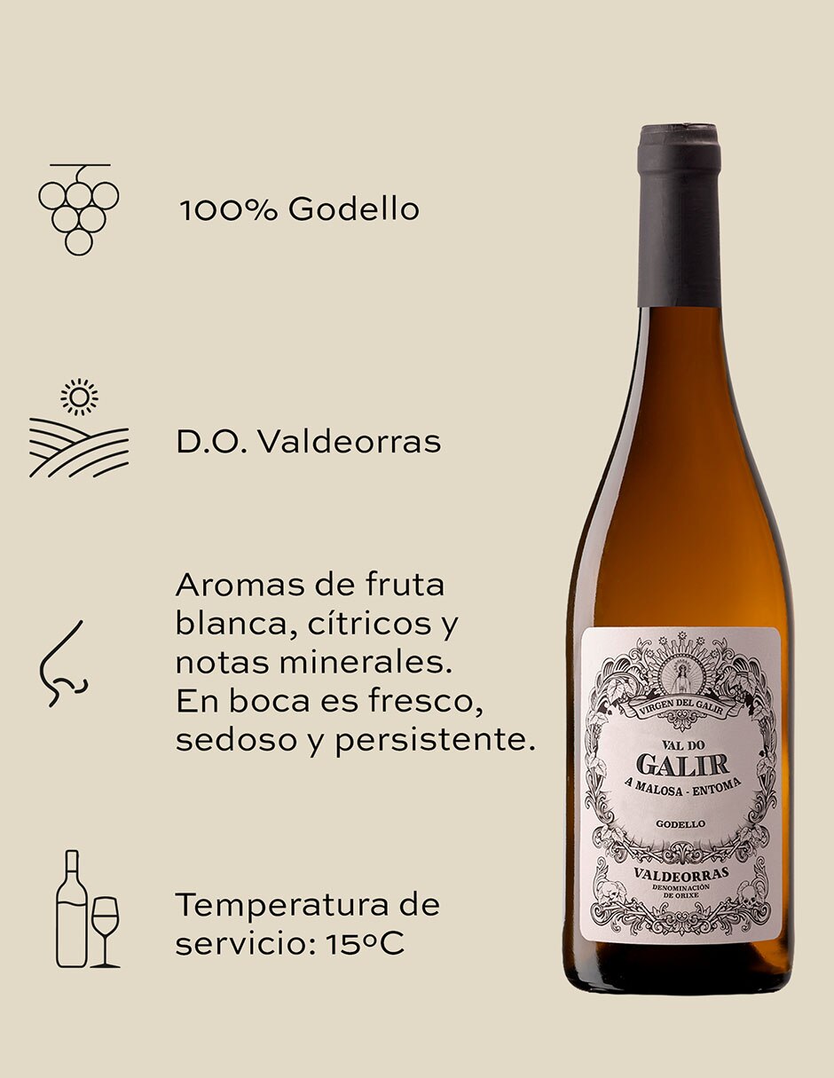 Vino blanco godello españa 750 ml 3