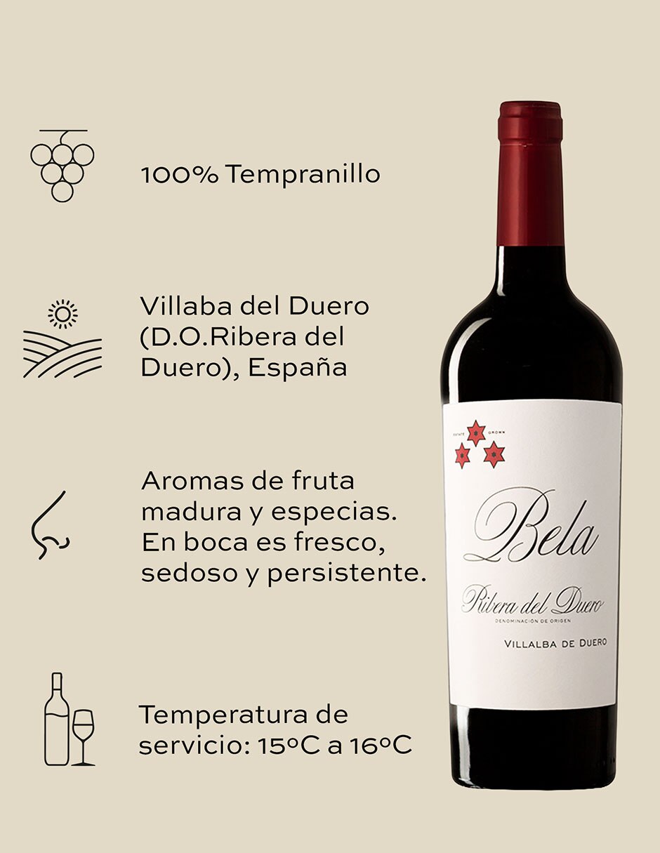 Vino blanco tempranillo España 750 ml 3
