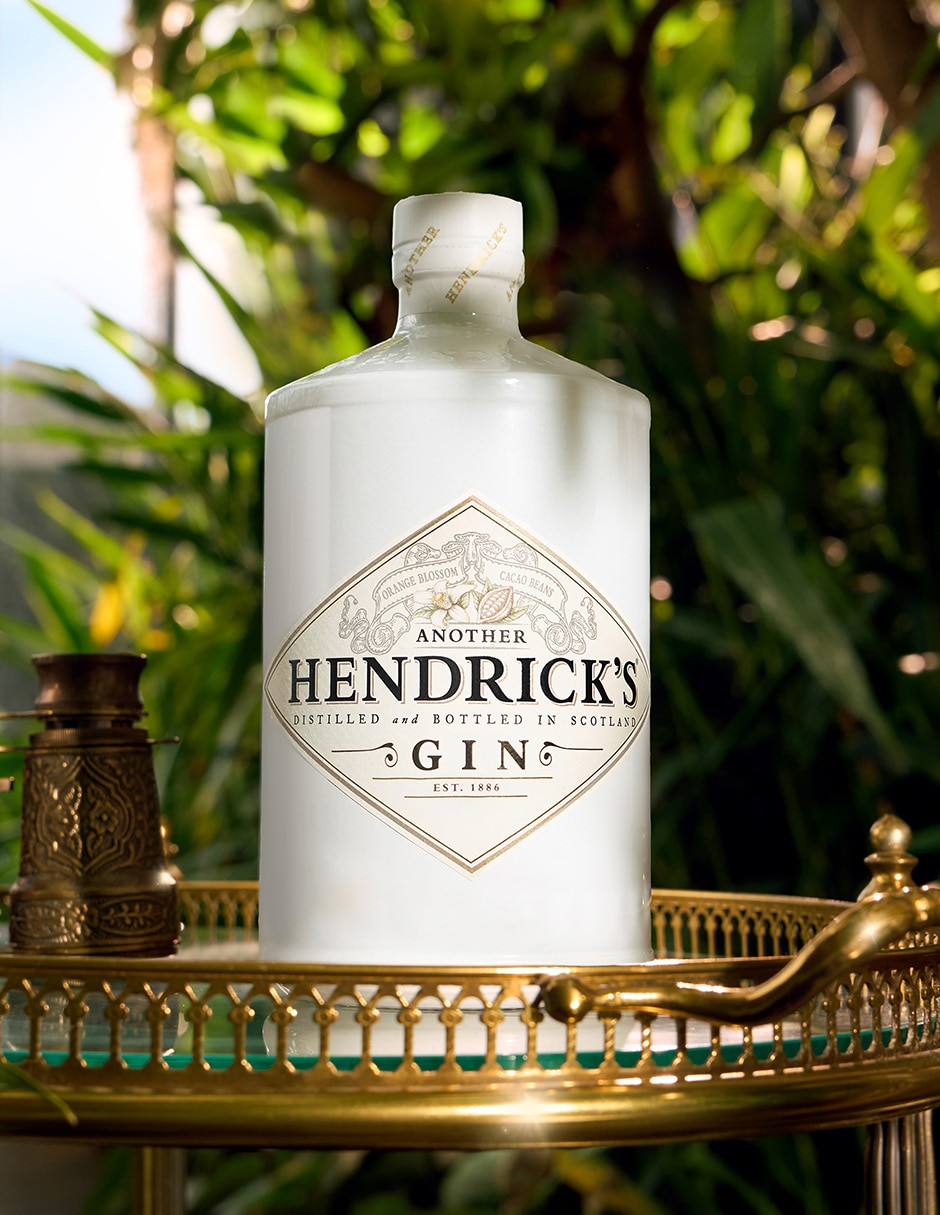 Gin ginebra another 750 4