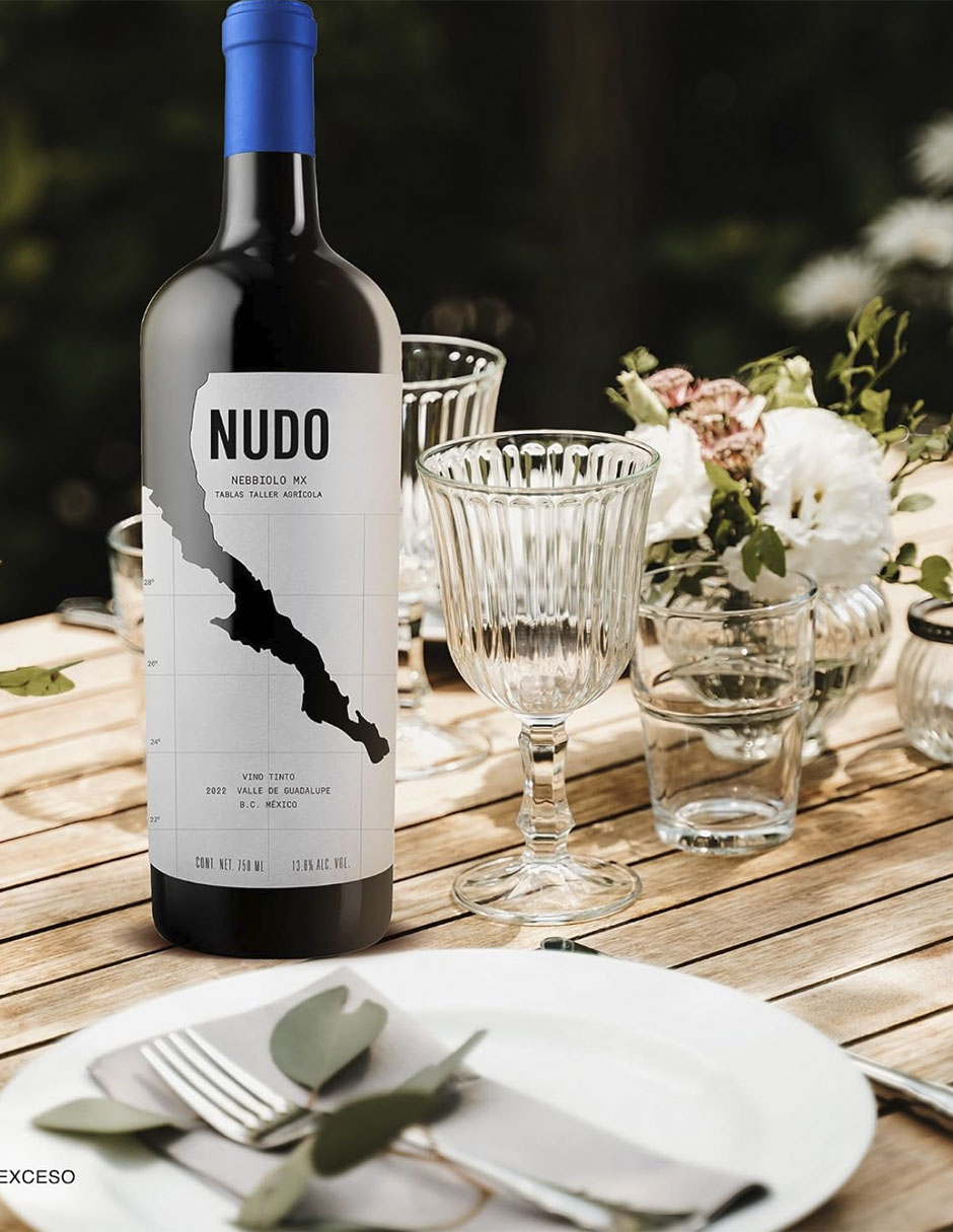 Vino tinto nebbiolo Mexico 750 ml 2