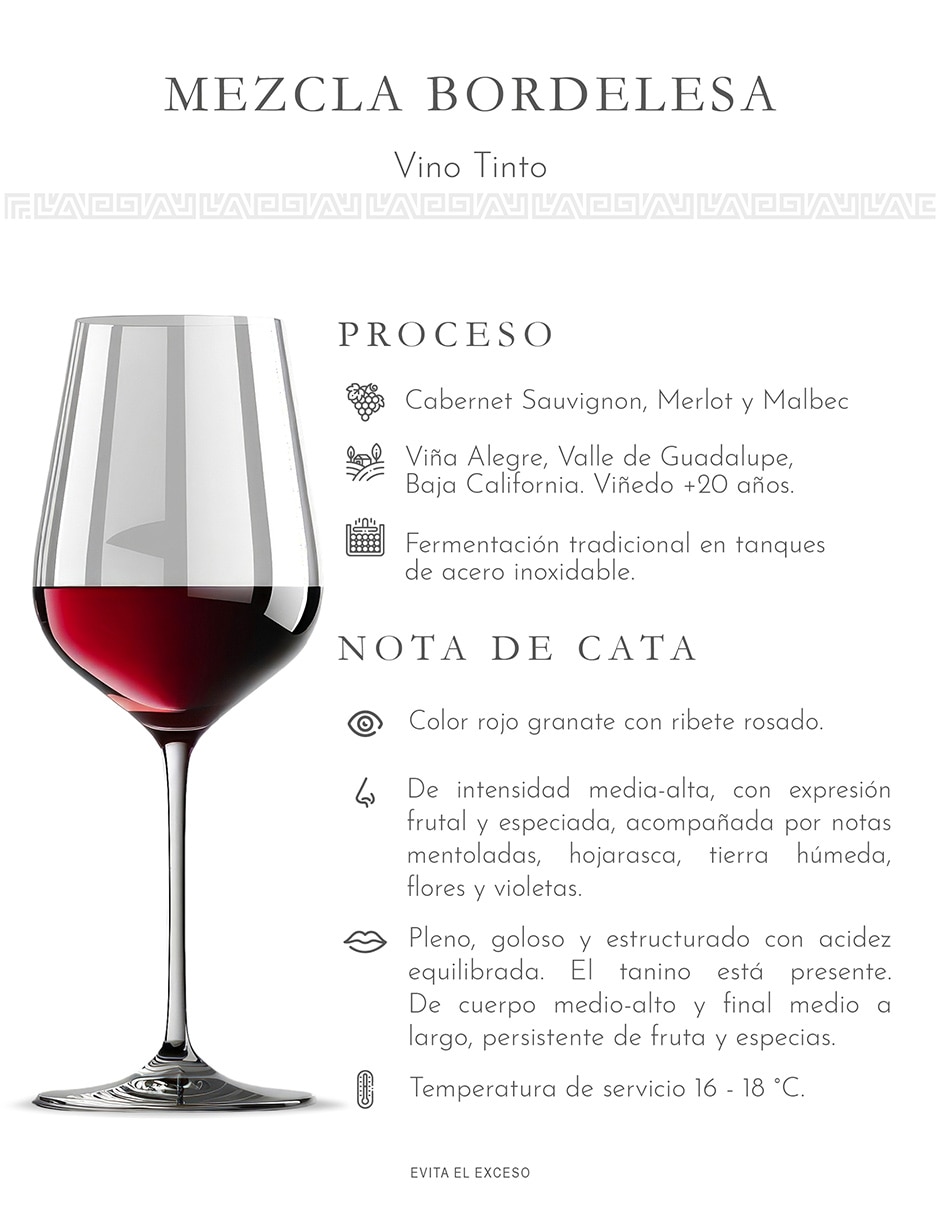 Set de vino tinto Cabernet Sauvignon y Merlot Uvas Orgánicas México